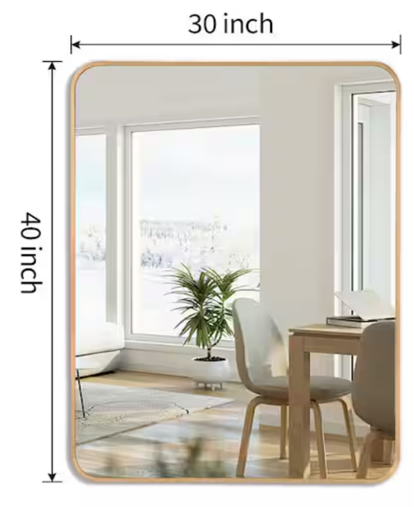 Ta. 30 in. W x 40 in. H Gold Rectangle Framed Mirror