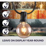 Indoor/Outdoor 50 ft. Plug-in Globe Bulb Weatherproof Party String Lights, 50 Sockets, 55 G40 Bulbs Included (5 Free)