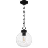 Irie 1-Light Earth Black Pendant with Clear Seedy Glass Shade