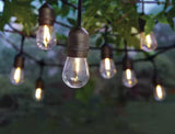 12-Light 24 ft. Indoor/Outdoor String Light with S14 Single Filament LED Bulbs