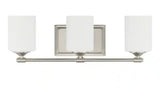 Darlington 20.88 in. 3-Light Brushed Nickel Vanity Light with Frosted Opal Glass Shades