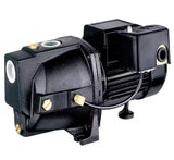 3/4 HP Dual Voltage Cast Iron Shallow Well Jet Pump