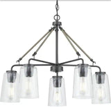 Cashiers 24 in. 5-Light Graphite Chandelier with Clear Glass Shades