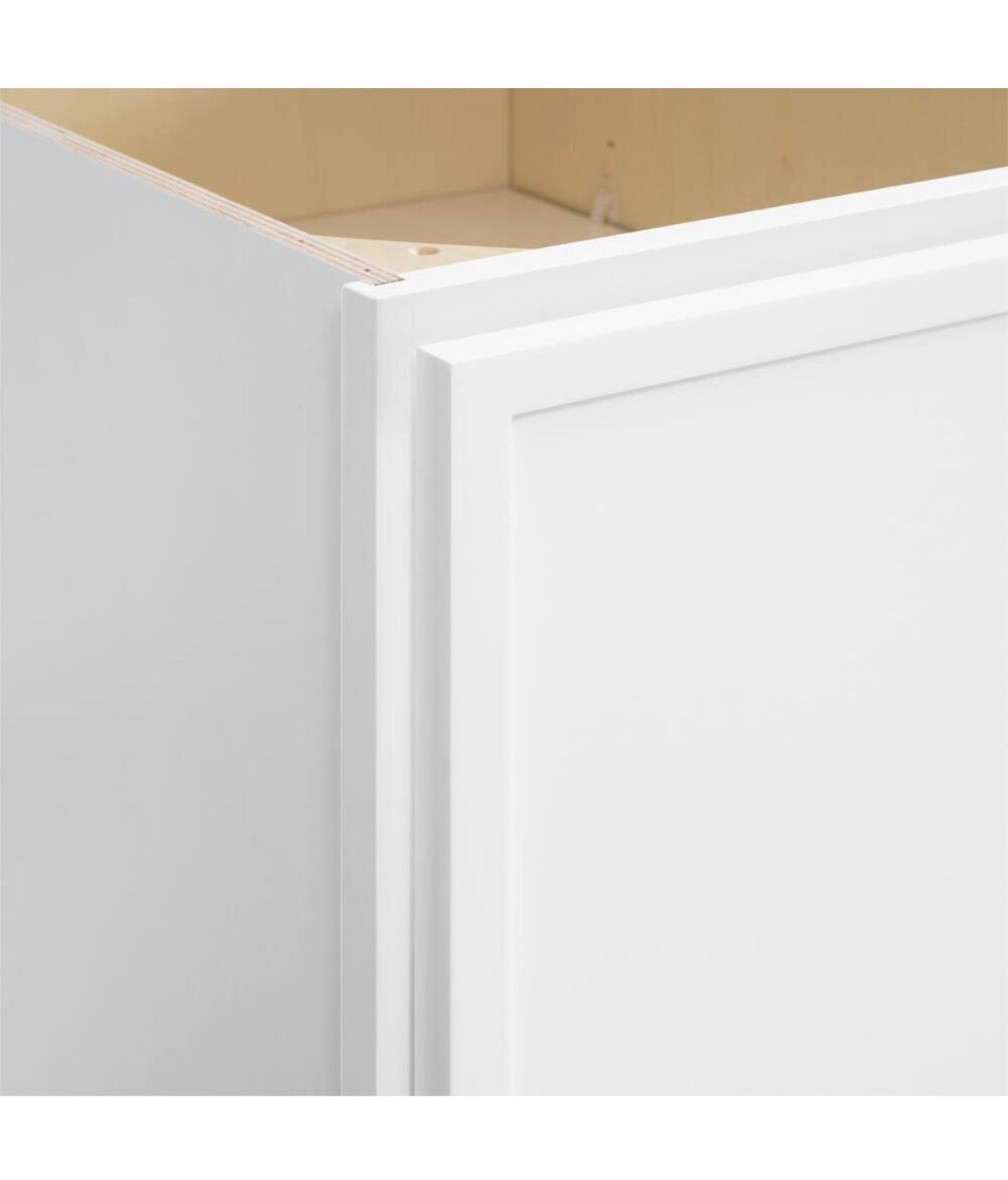 Leyton 18 in. W x 24 in. D x 34.5 in. H Ready to Assemble Plywood Slim Shaker Double Trash Can Cabinet in Alpine White