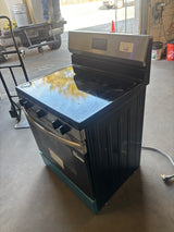 30 in. 5 Burner Element Freestanding Electric Range in Stainless Steel with Dual Expandable Element and Quick Boil