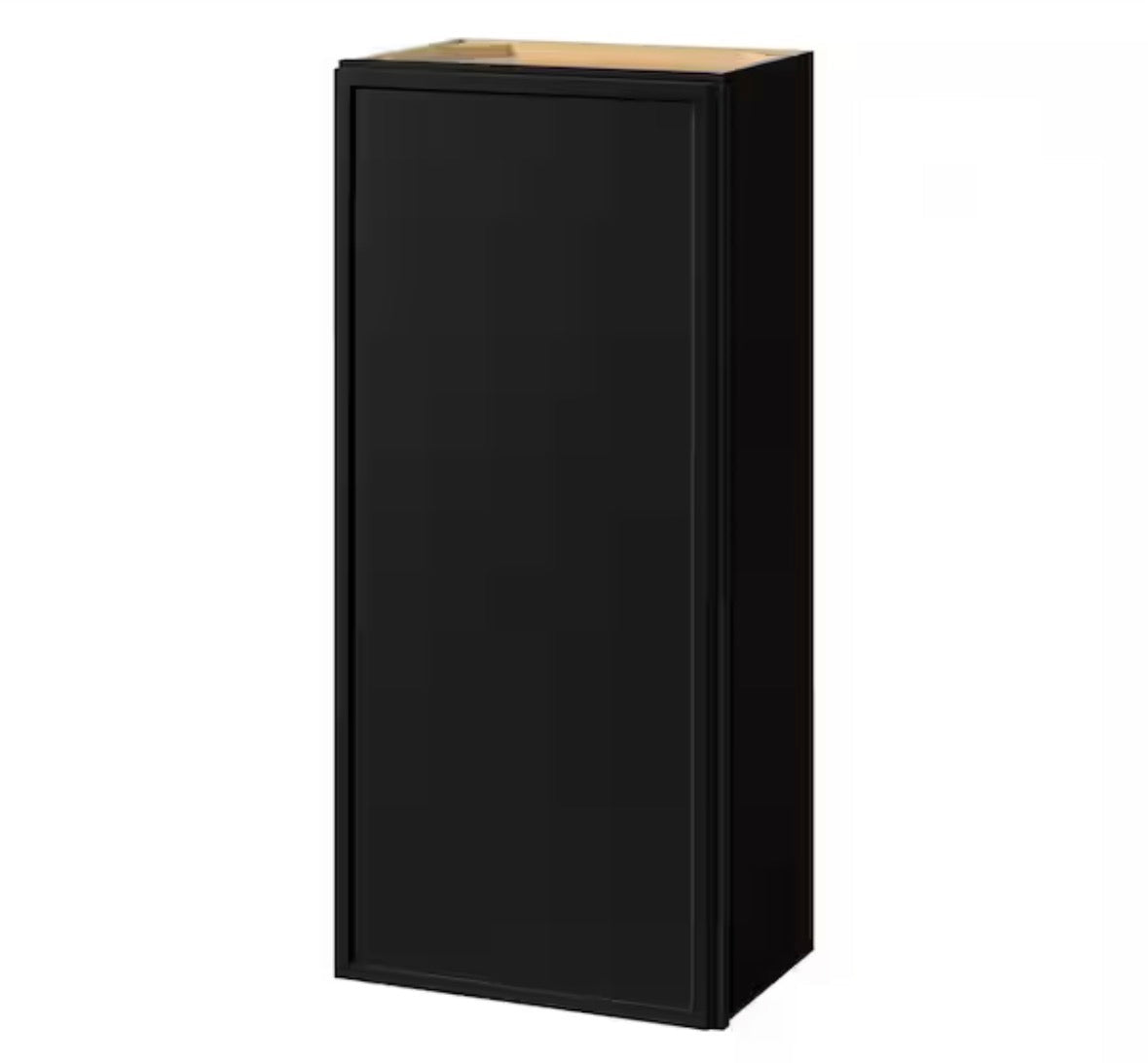 Leyton 18 in. W x 12 in. D x 42 in. H Ready to Assemble Plywood Slim Shaker Wall Kitchen Cabinet in Raven Black