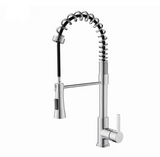 Modern Spring Neck Faucet with Pull-Down Sprayer