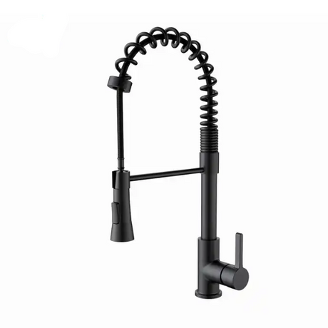 Modern Spring Neck Faucet with Pull-Down Sprayer