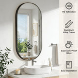 19.7 in. W x 39.4 in. H Oval Black Decorative Aluminum Alloy Framed Wall Mirror